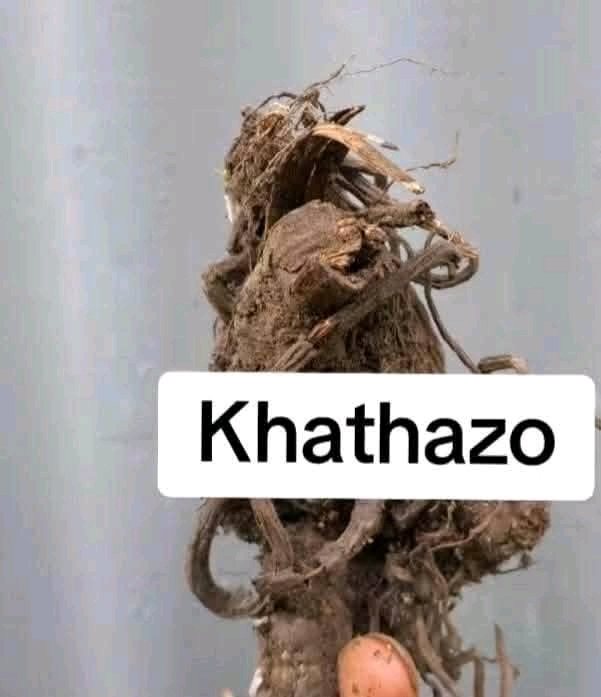 Message Image